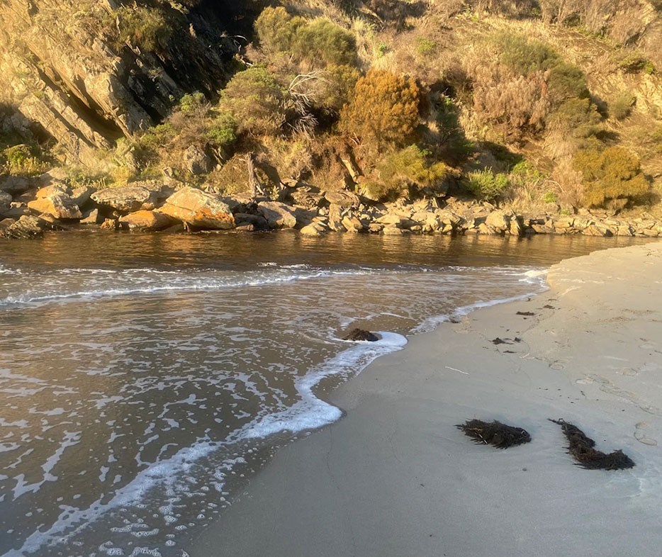 Coastal bushland near rustic cabin, offering serene views and a peaceful Kangaroo Island escape.