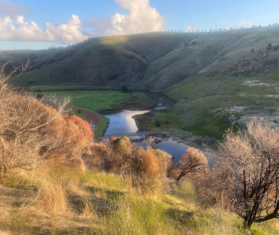 Scenic view of a dam surrounded by rolling green hills and native bushland near Hilltop Cabin, Kangaroo Island.