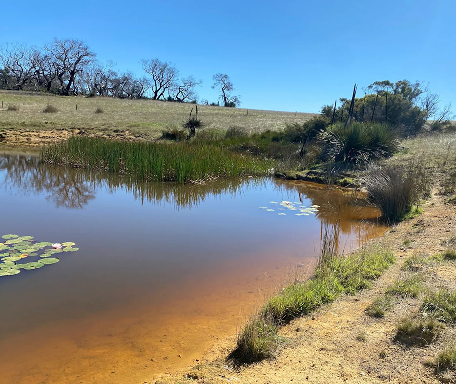 Nestled beside a Kangaroo Island rural dam, Catman’s Hilltop Cabin is a converted shed on a vast 250-acre sheep and marron farm—remote, rustic, and full of country charm.</p>
<p>