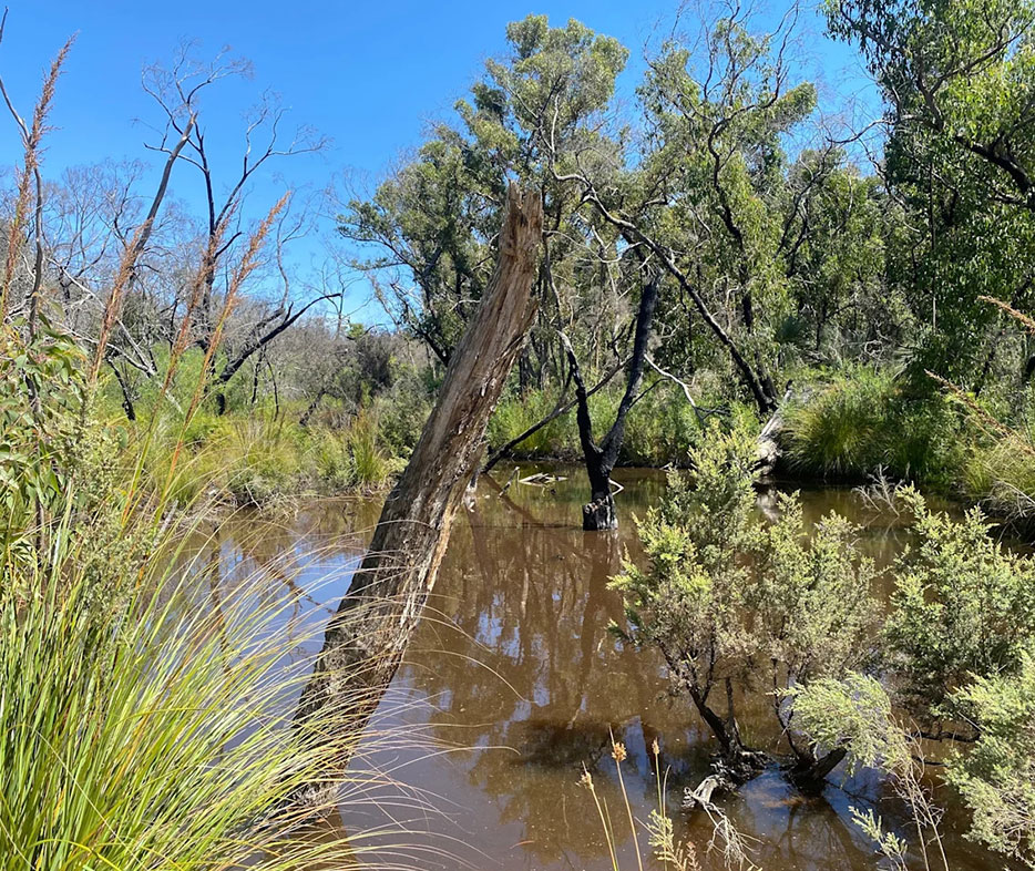 Catman’s Hilltop Cabin offers a rustic Kangaroo Island bush lake setting, nestled on a sheep and marron farm with distant sea views and peaceful lake surroundings.