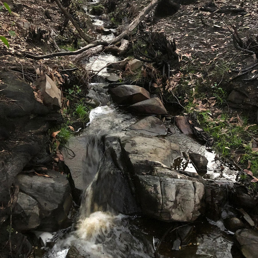 Rustic cabin by a Kangaroo Island bush creek, offering a peaceful farm escape.